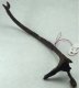 Fourteenth Century Spur Fourteenth Century Spur