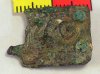 Norman Buckle Plate Norman Buckle Plate