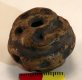 Scythian Bone Spindle Whorl Scythian Bone Spindle Whorl