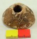 Spindle Whorl Spindle Whorl