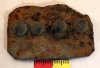 Armour Plate Armour Plate