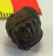 Tudor Knife Pommel Tudor Knife Pommel