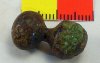 Celtic Toggle Celtic Toggle