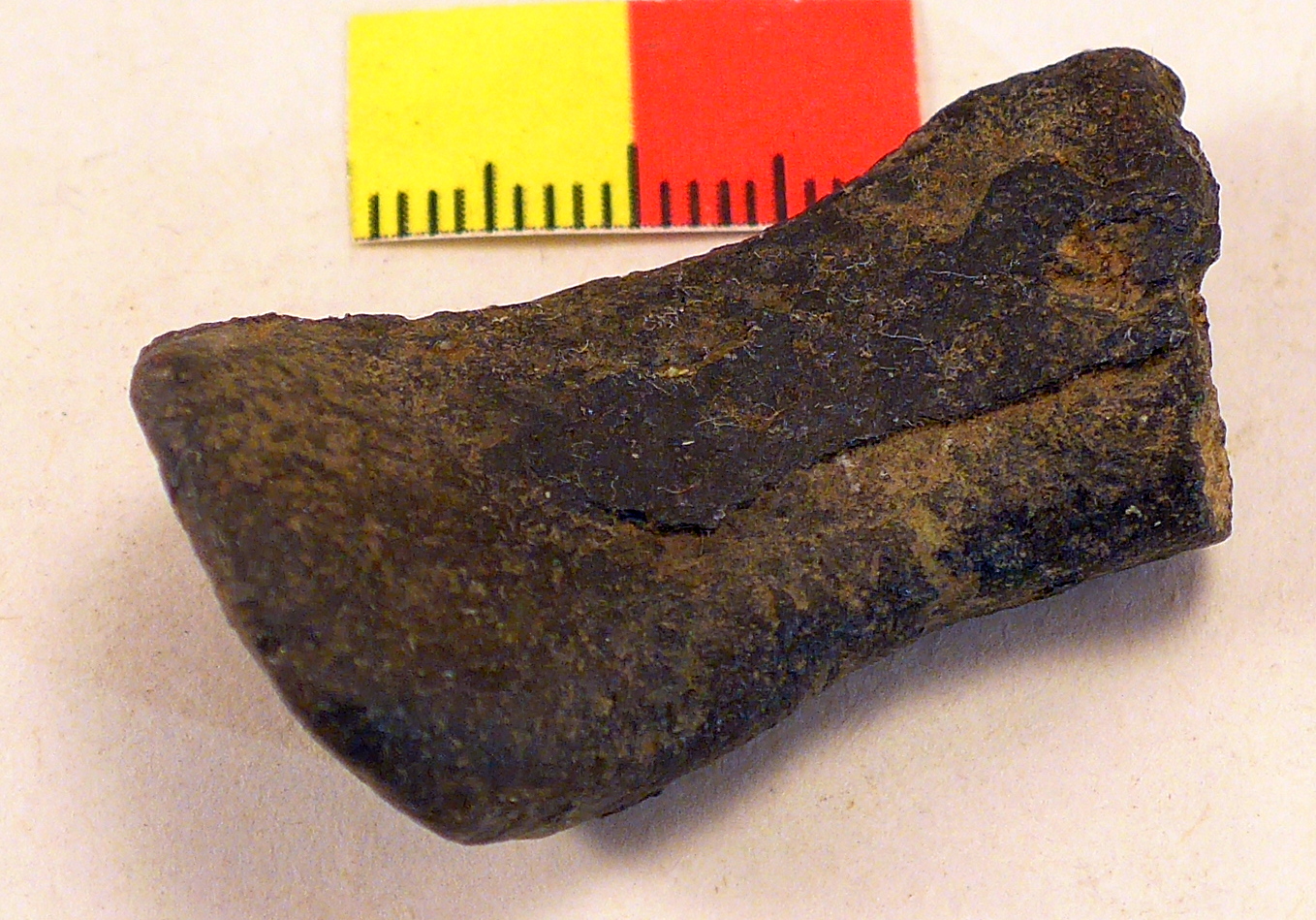 Roman Key Handle Roman Key Handle