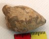 Roman Sling Pellet Roman Sling Pellet