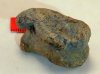 Roman Astragal Roman Astragal