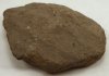 Anglo-Saxon Pot Sherd Anglo-Saxon Pot Sherd