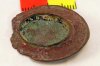 Plate Brooch Plate Brooch