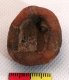 Egyptian Amulet Mould Egyptian Amulet Mould