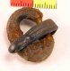 Anglo-Saxon Buckle Anglo-Saxon Buckle