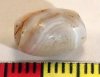 Roman Agate Bead Roman Agate Bead